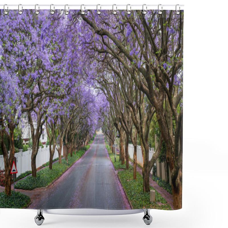 Personality  Tall Jacaranda Trees Lining The Street Of A Johannesburg Suburb In The Afternoon Sunlight Shower Curtains