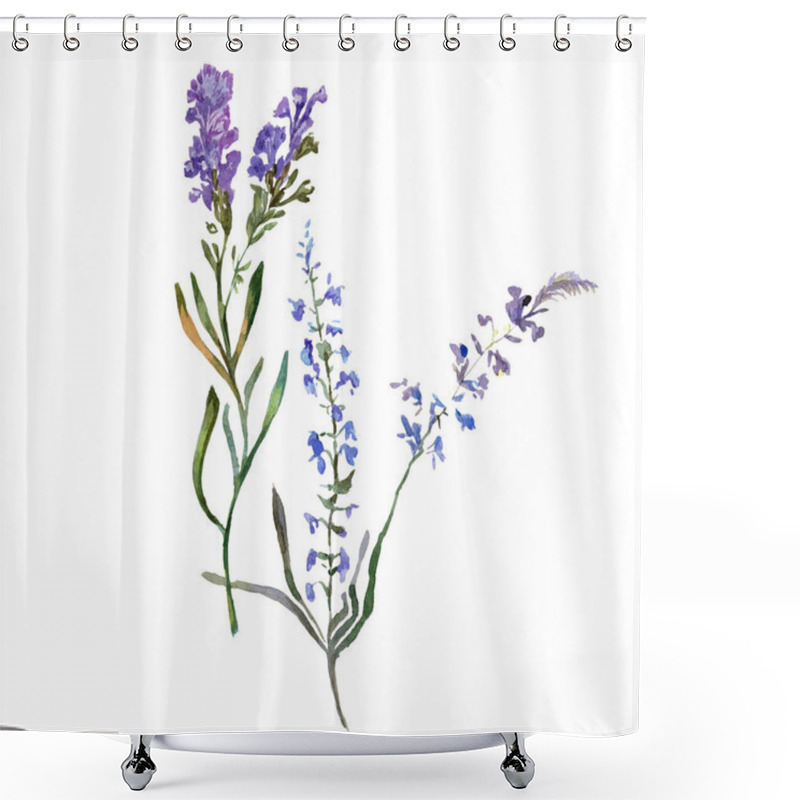 Personality  Purple Lavender Flowers. Wild Spring Wildflowers Isolated On White. Hand Drawn Lavender Flowers In Aquarelle. Watercolor Background Illustration. Shower Curtains