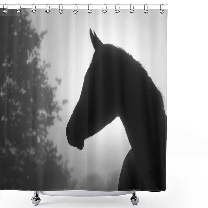 Personality  Beautiful Image Of A Refined Arabian Horse's Profile Shower Curtains