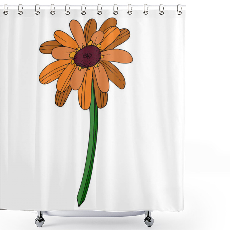 Personality  Vector Gerbera Floral Botanical Flower. Black And White Engraved Shower Curtains