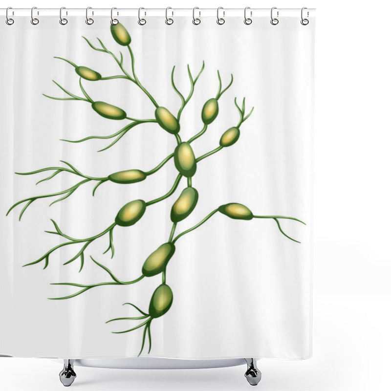 Personality  Lymph Nodes Shower Curtains