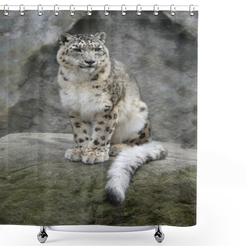 Personality  Snow Leopard Shower Curtains