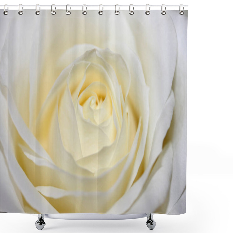 Personality  Beautiful Flowers, Floral Concept Background Shower Curtains