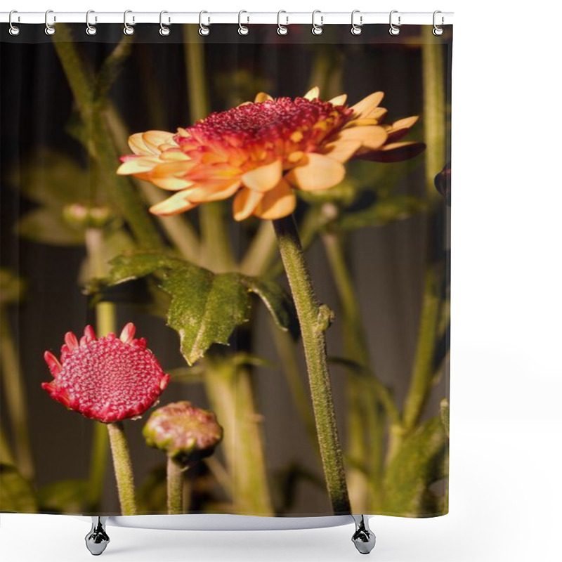 Personality  Yellow And Red Flowers Shower Curtains