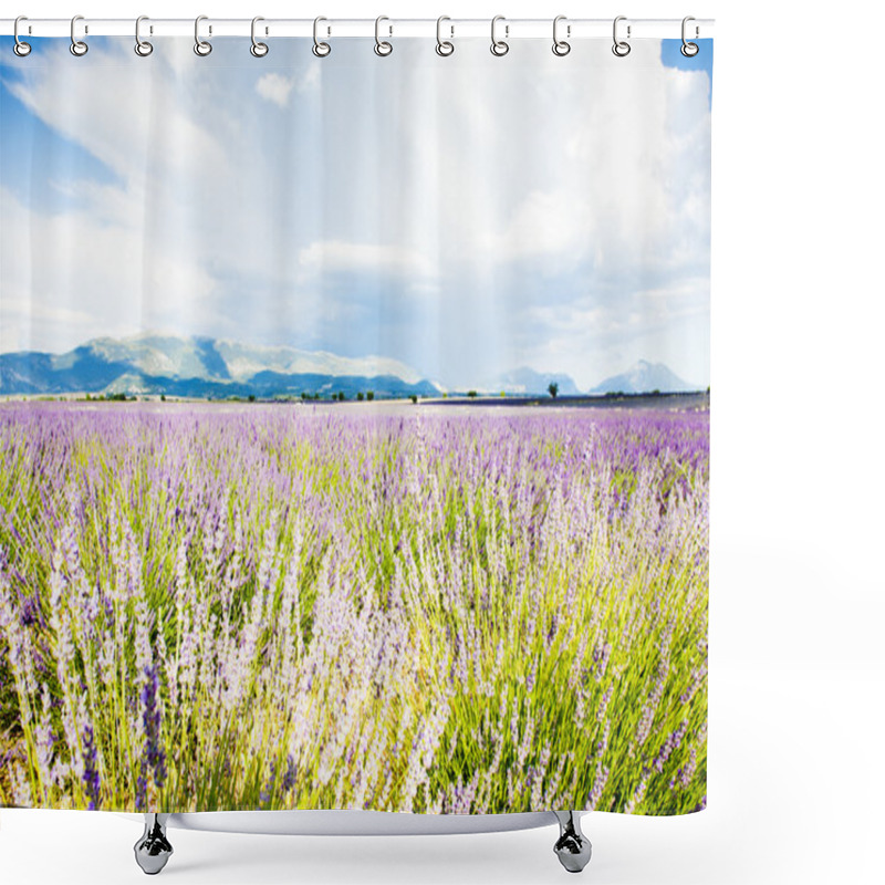 Personality  Lavender Field, Plateau De Valensole, Provence, France Shower Curtains