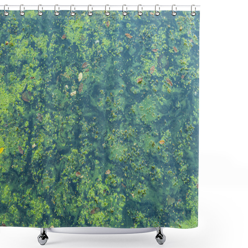 Personality  Blue-green Algae In A Body Of Water, Bathing Prohibited Shower Curtains