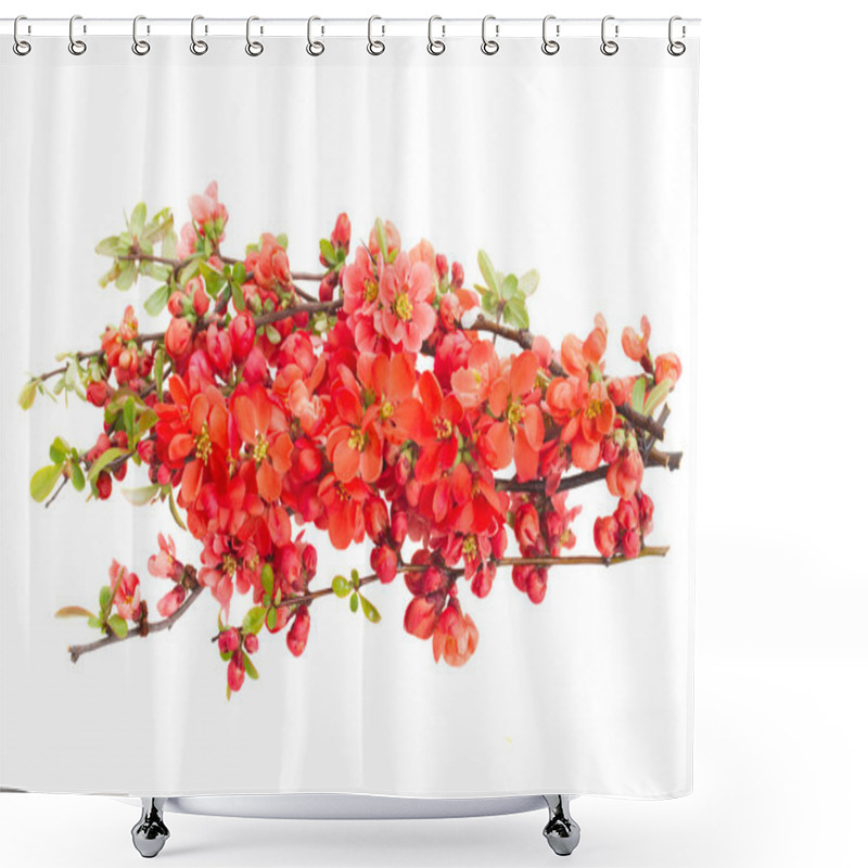 Personality  Blossoming Tree Flowers Shower Curtains