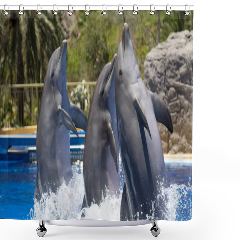 Personality  Dolphins Dancing In Water During Show Shower Curtains