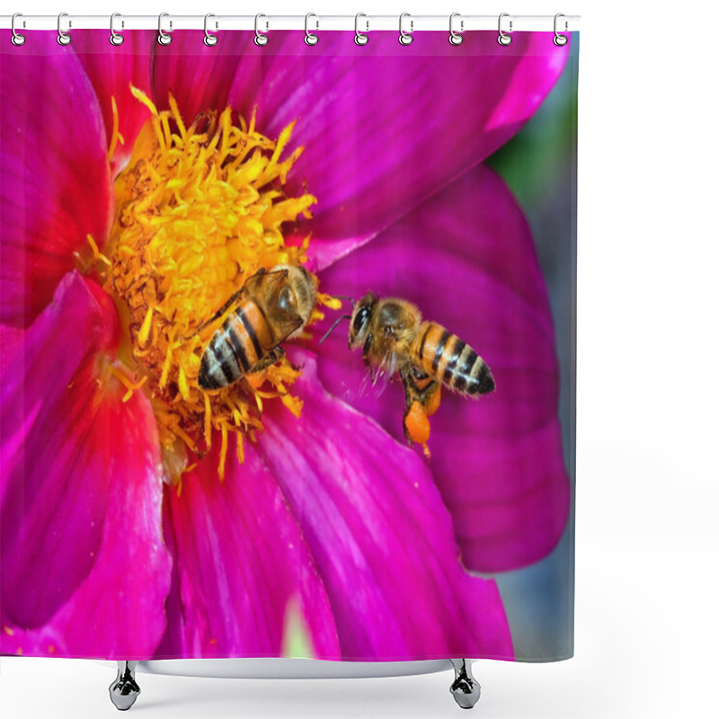 Personality  Two Bees On A Yellow And Purple Flower Shower Curtains