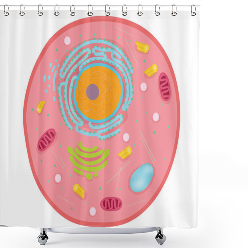 Personality  Animal Cells Are The Basic Unit Of Life. Shower Curtains