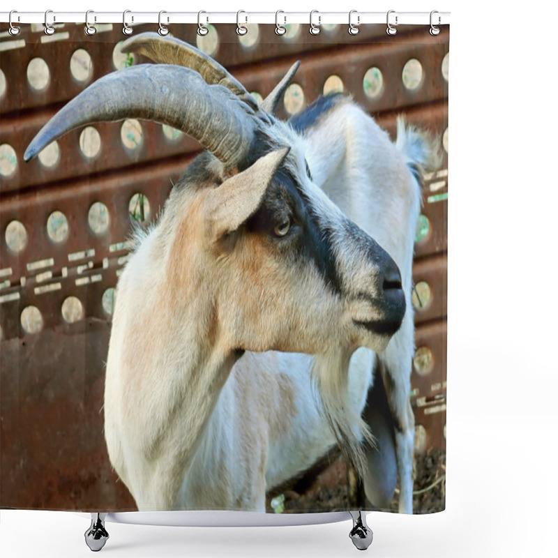 Personality  Goat Shower Curtains