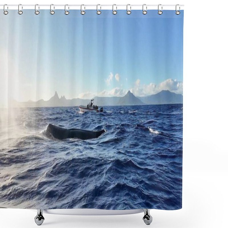 Personality  Whale Watching At Port Louis In Mauritius. Whale Swimming. Africa Island. Boat Sailing. Whale Watching At Port Louis In Mauritius. Ocean Seascape. Wildlife Marine Animal. Shower Curtains