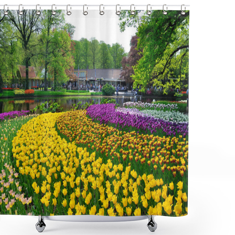 Personality  Pink, Yellow, Purple And White Tulips In Keukenhof Park In Holla Shower Curtains