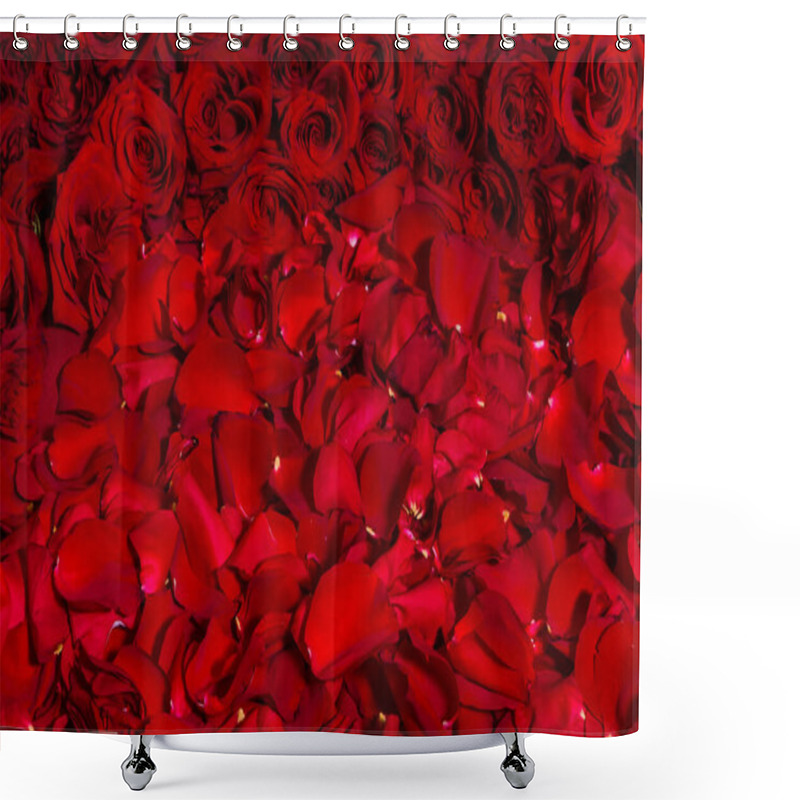 Personality  Red Roses Close-up, Texture Of Flowers. Shower Curtains