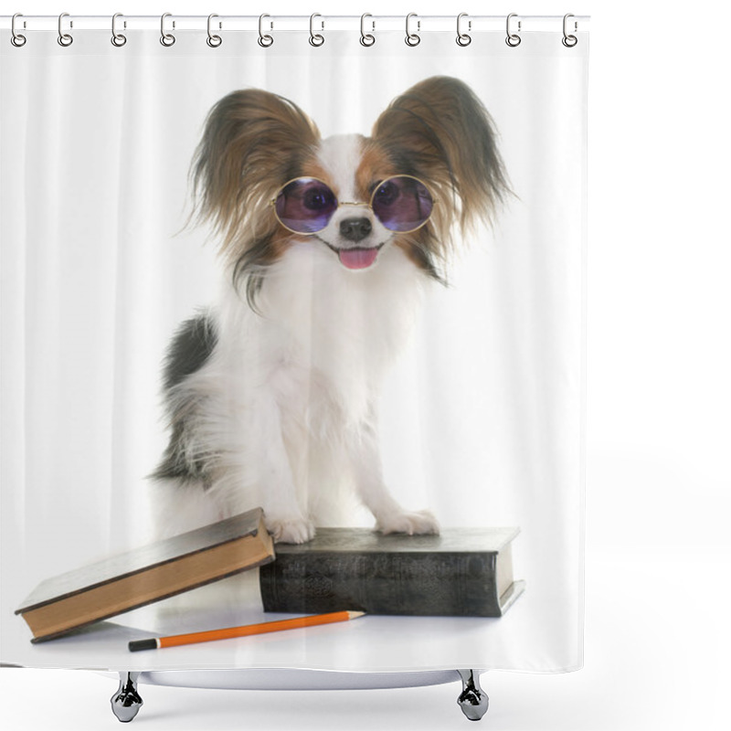 Personality  Papillon Dog In School Shower Curtains