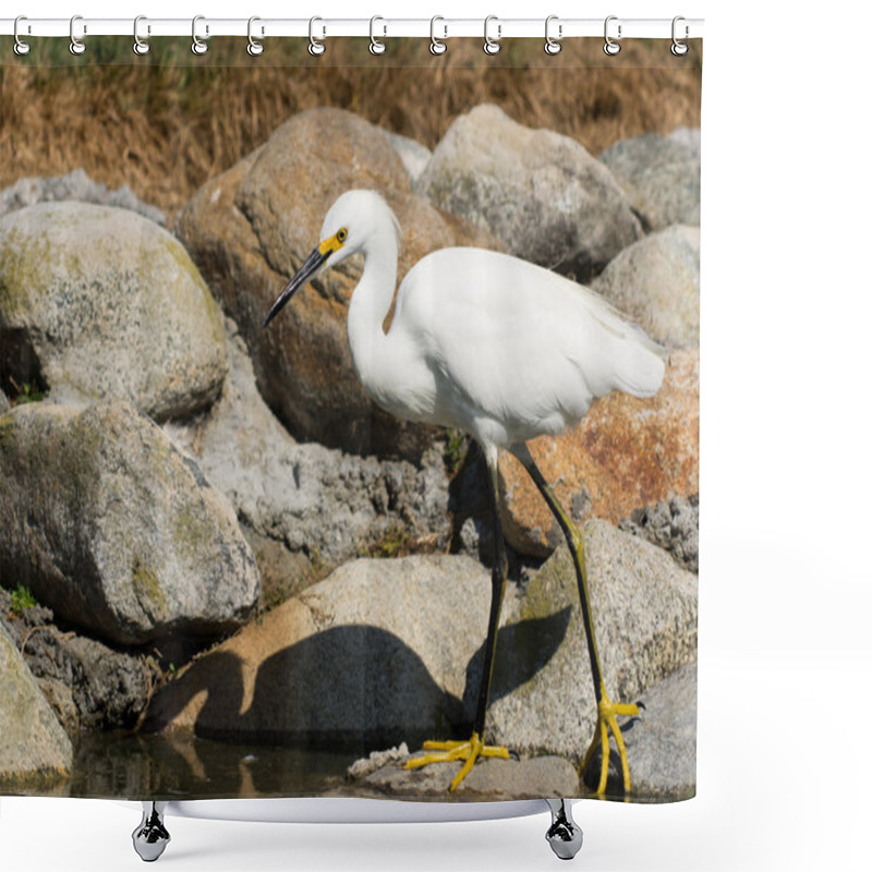 Personality  Snowy Egret Shower Curtains