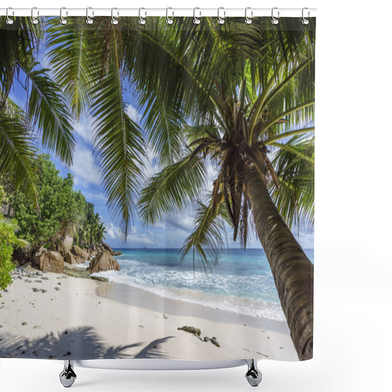 Personality  Palm Trees On Paradise Beach At Anse Patates, La Digue, Seychell Shower Curtains