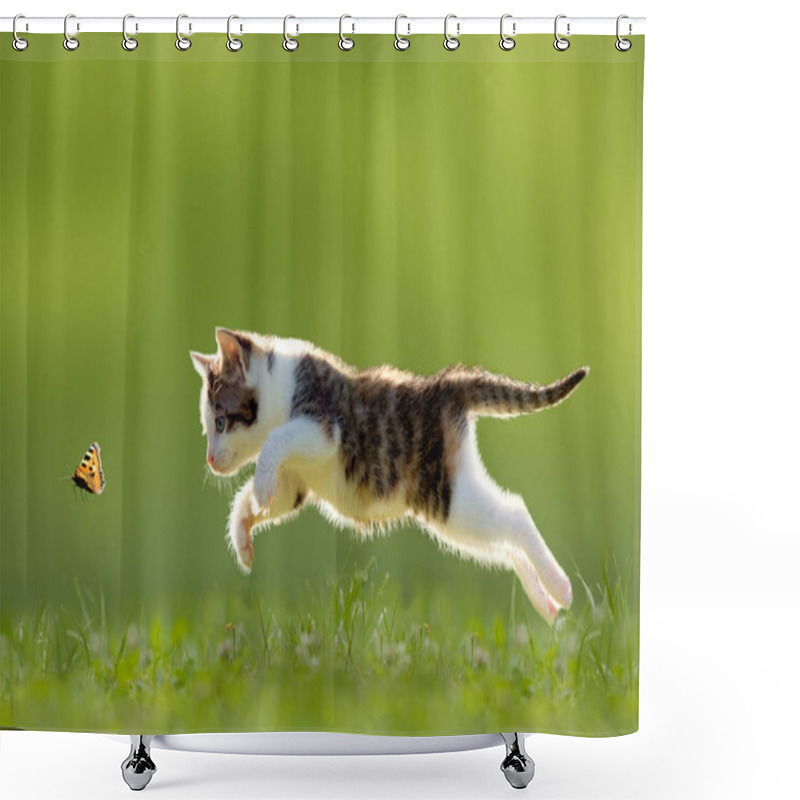 Personality  Young Cat Hunting Butterfly On A Meadow Backlit Shower Curtains