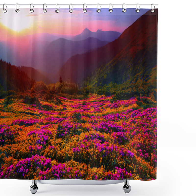 Personality   Ukraine - Romania Border, Europe, Carpathian Mountains, Marmarosy Range, Breathtaking Summer Landscape In Europe, Amazing Morning Sky And Awesome Blooming Pink Rhododendrons Flowers Shower Curtains