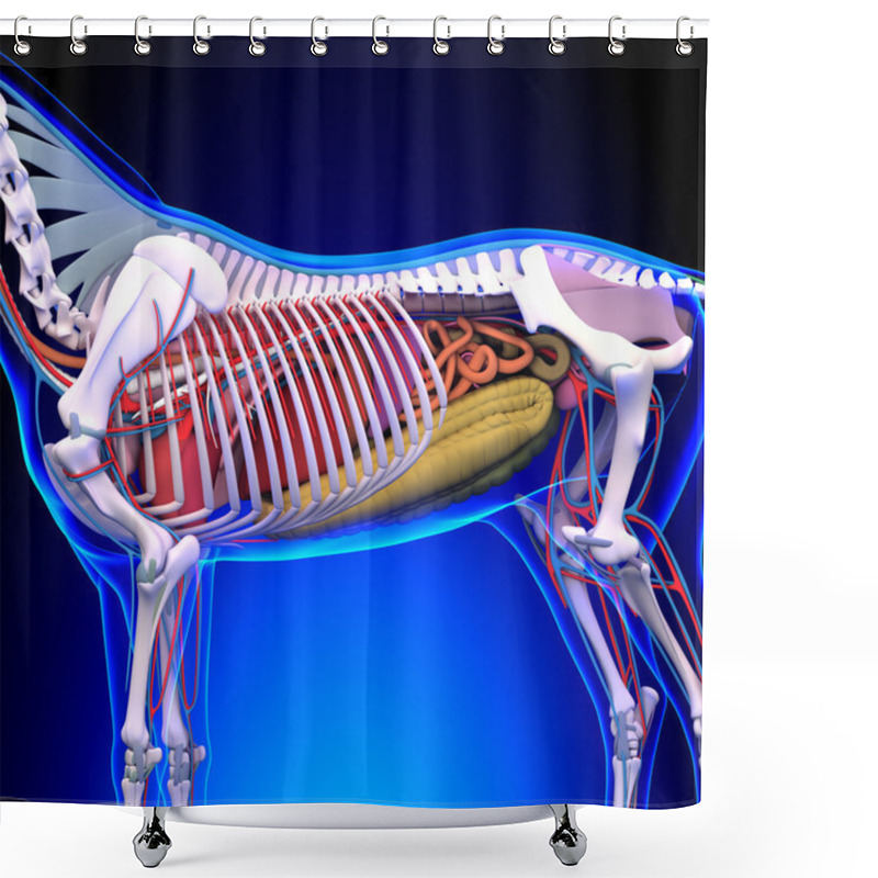 Personality  Horse Ligaments And Joints Tendons Shower Curtains