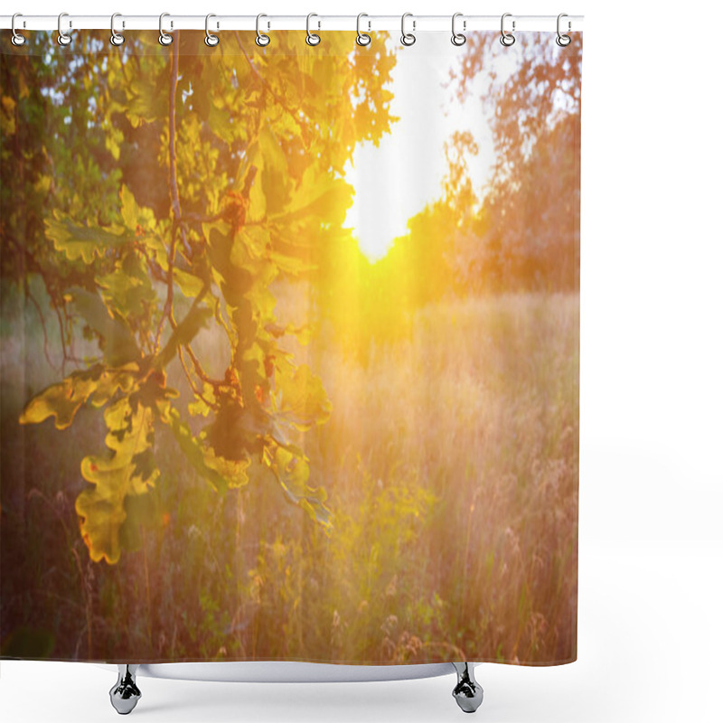 Personality  Quet Oak Forest At The Sunset Shower Curtains