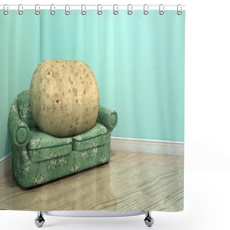 Personality  Couch Potato On Old Sofa Shower Curtains