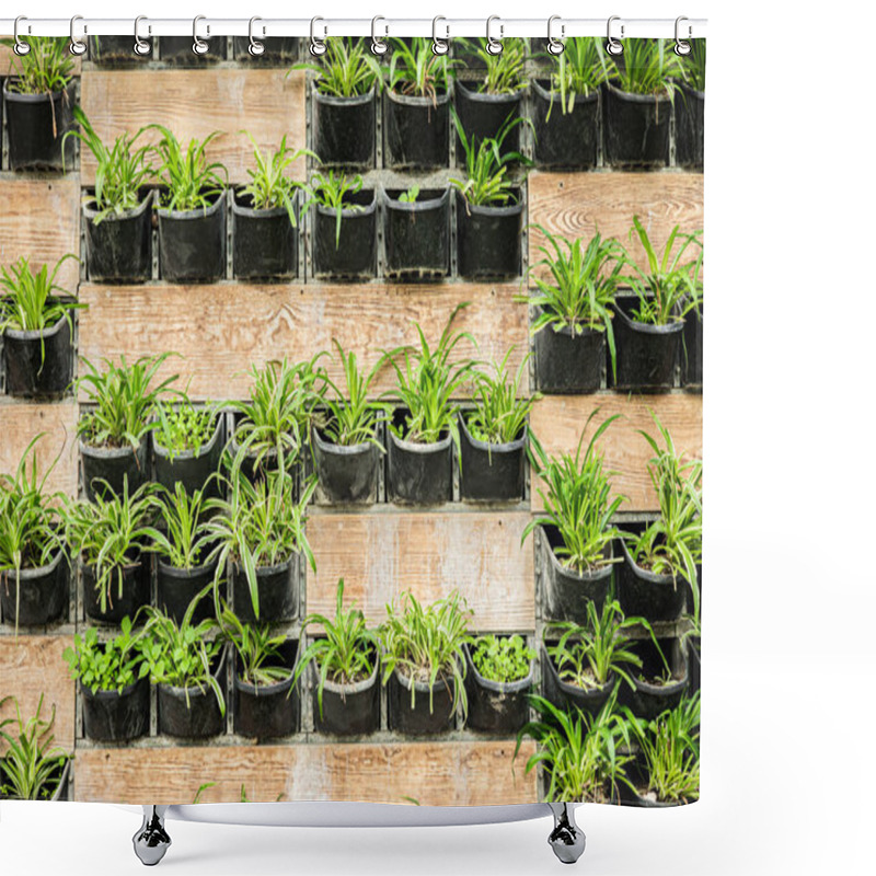 Personality  Vertical Garden With Green Plants In Black Pots On Wooden Wall. Shower Curtains