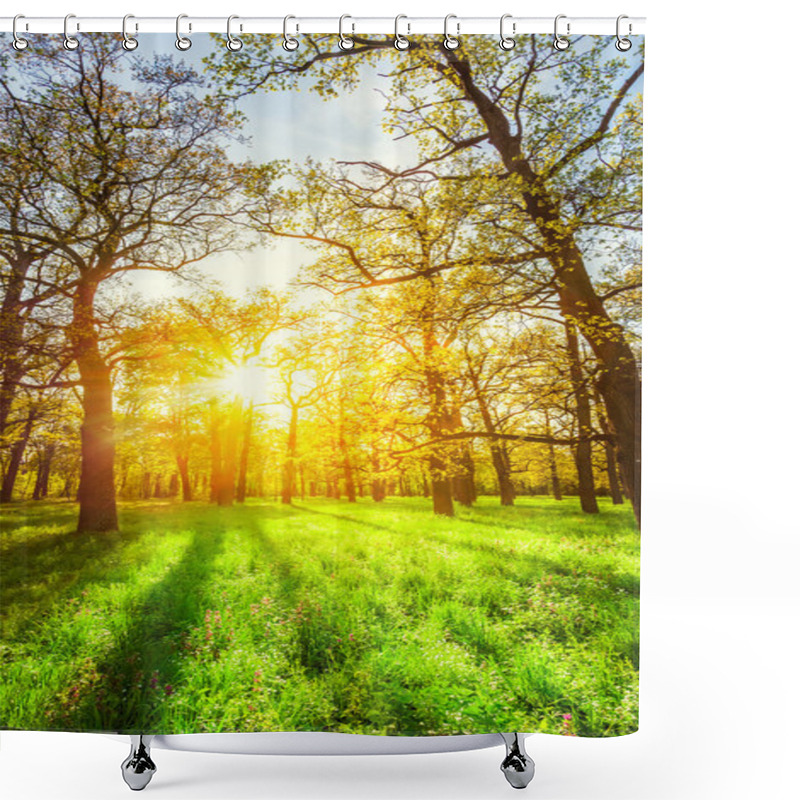 Personality  Morning Sun Beams In The Spring Park Shower Curtains