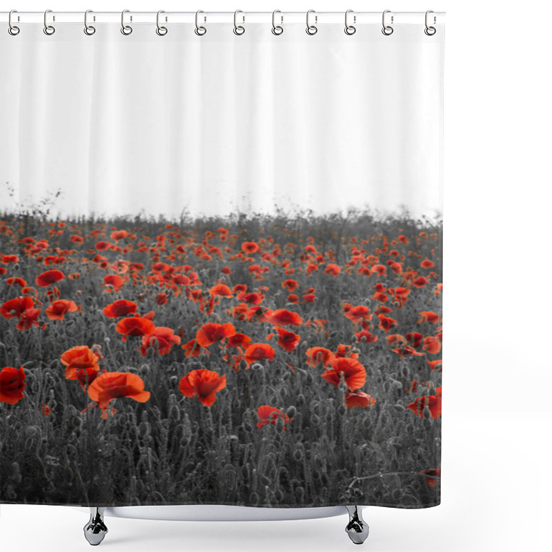 Personality  Beautiful Rememberence Day Poppy Field Landscape With Copy Space Shower Curtains