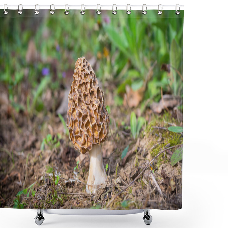 Personality  Brown Wild Mushroom And Green Grass Shower Curtains