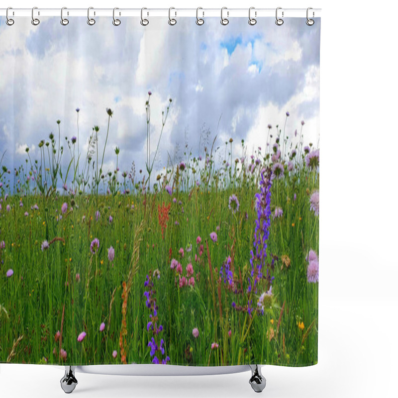 Personality  Flowers Meadow Landscape With Grass And Wildflowers Cloudy Sky Shower Curtains