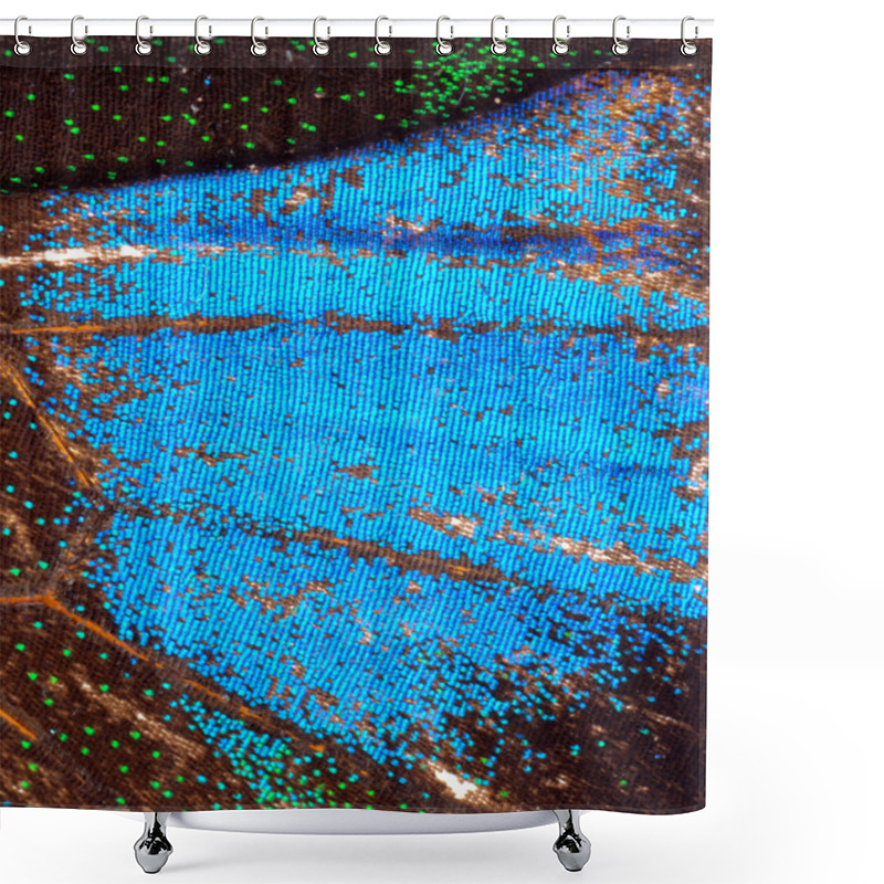 Personality  Butterfly Wing Detail Texture Shower Curtains