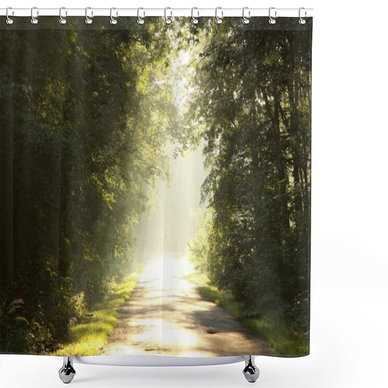 Personality  Late Sumer Forest Road In The Morning Shower Curtains