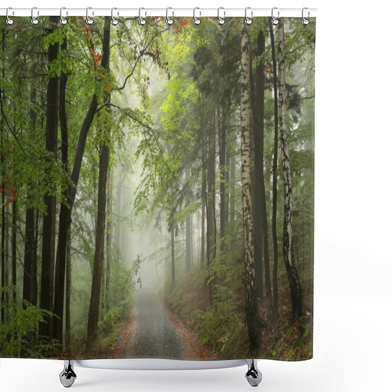 Personality  Forest Path In Misty Weather Shower Curtains