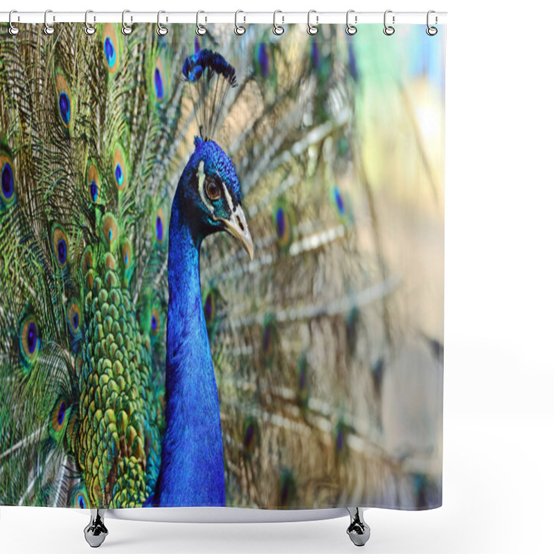 Personality  Peacock  Shower Curtains