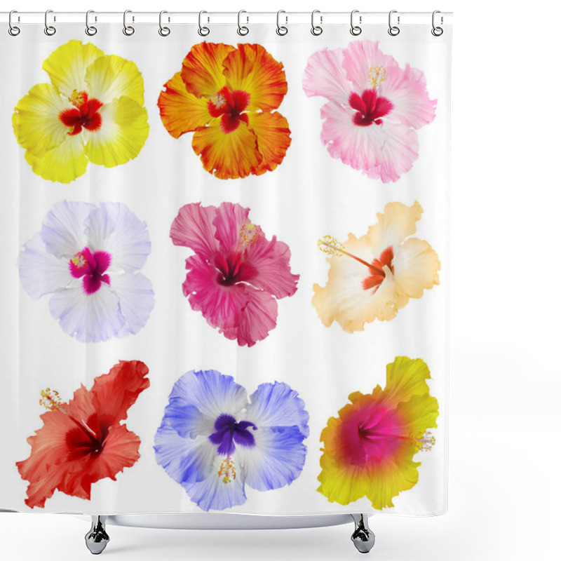 Personality  Set Of Beautiful Tropical Hibiscus Flowers Isolated On White Shower Curtains