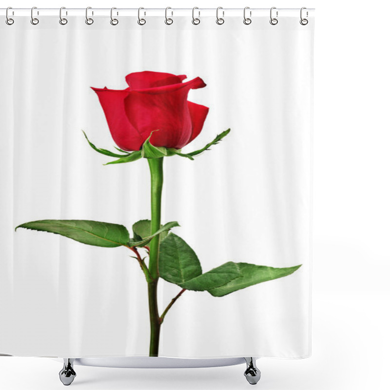 Personality  Beautiful Red Rose Shower Curtains