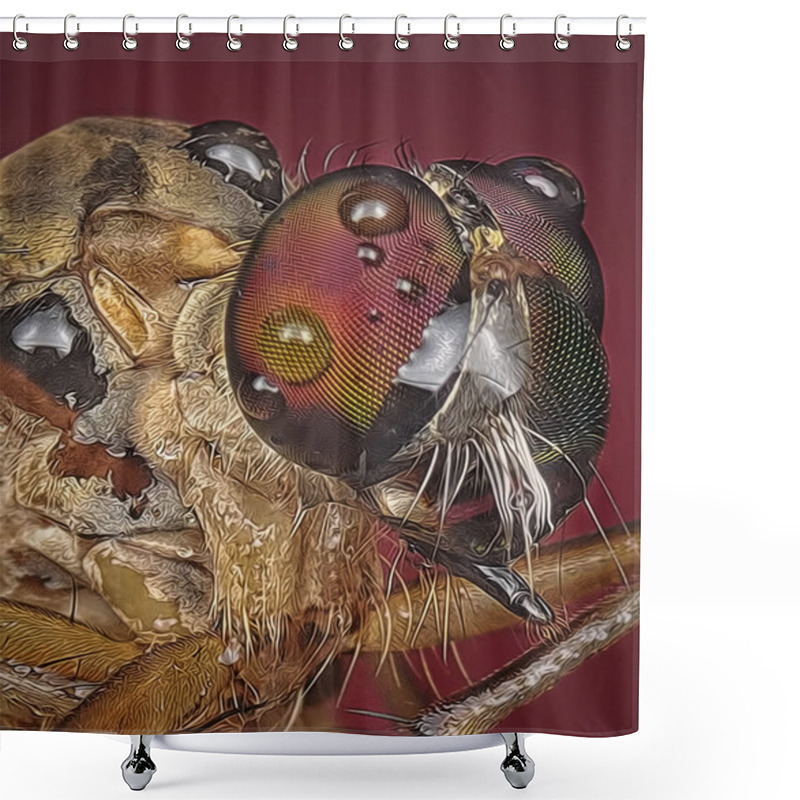 Personality  Close Up With Robberfly  Shower Curtains