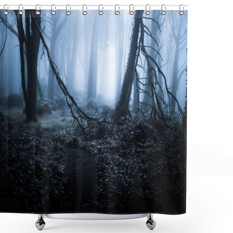 Personality  Dark Foggy Forest And Path Through It. Wild Woodland Nature Background Shower Curtains