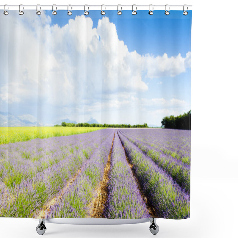 Personality  Lavender Field Shower Curtains