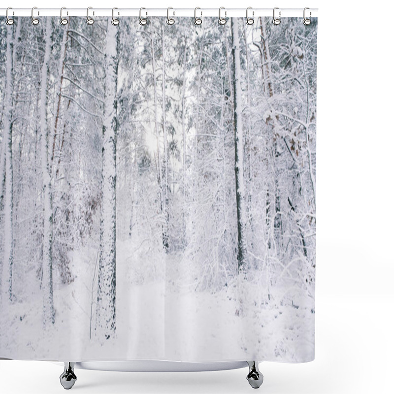 Personality  Beautiful Trees Covered With Snow In Forest Shower Curtains