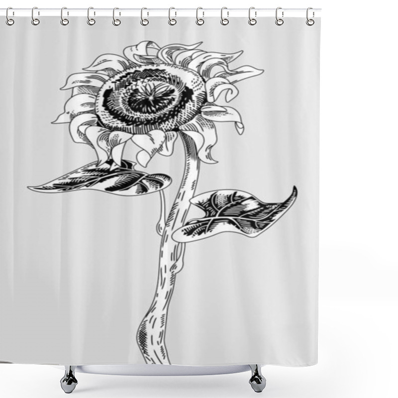 Personality  Sunflower Flower With Stem And Leaves Isolated On A Background. Engraved Vintage Style. Vector Illustration Shower Curtains