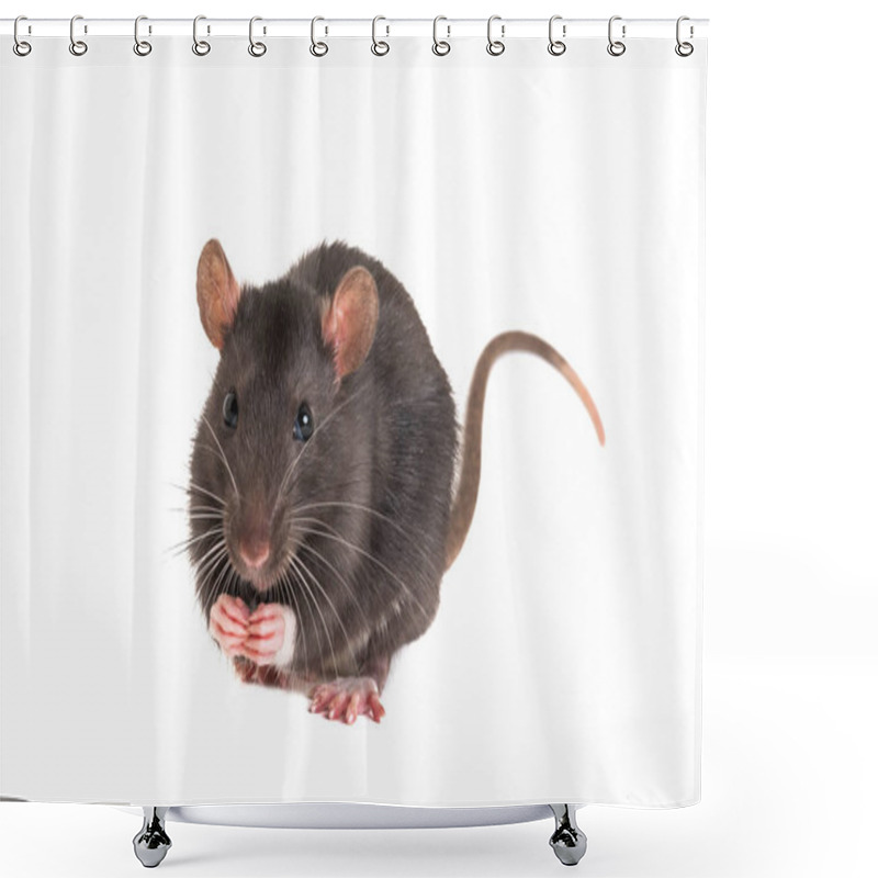 Personality  Cute Little Rat, Folded Legs, And Stands On The Hind Shower Curtains