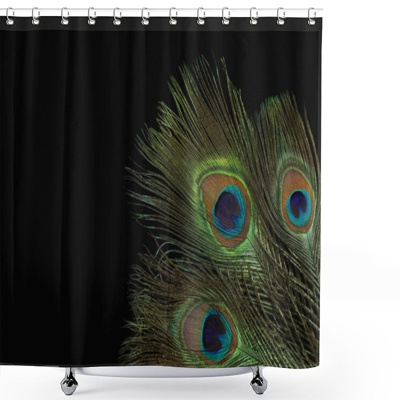 Personality  Beautiful Bright Peacock Feathers On Black Background. Space For Text Shower Curtains