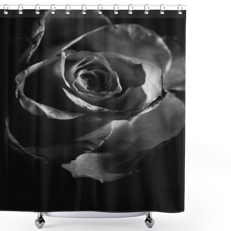 Personality  Beautiful Rose In The Dark Shower Curtains