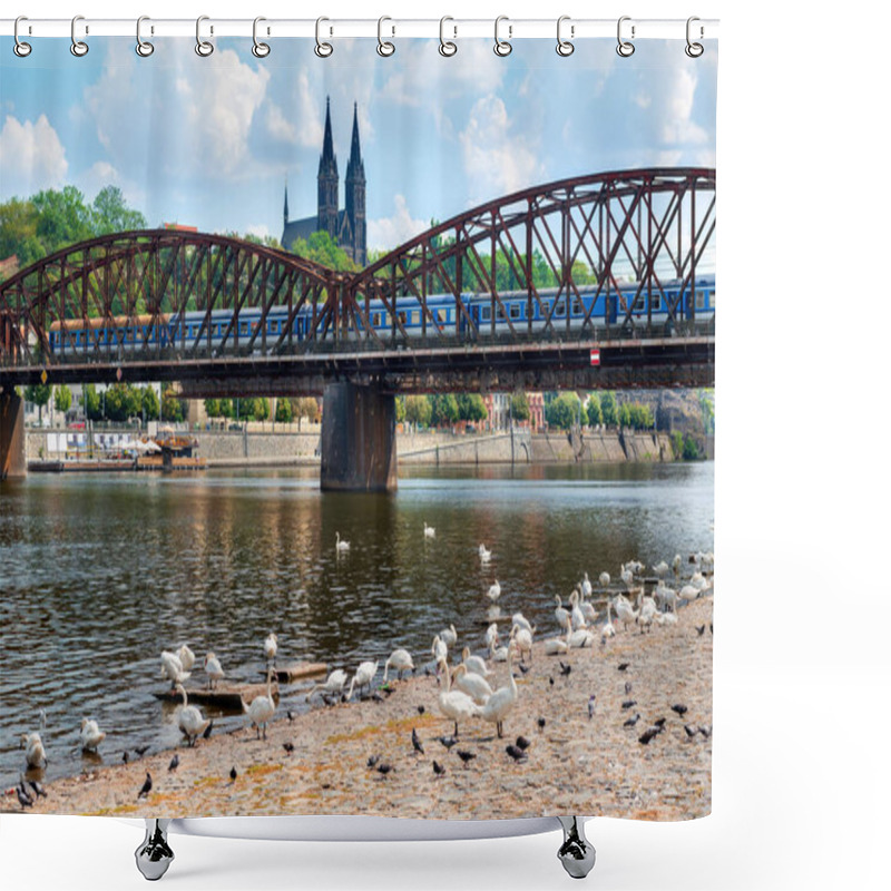 Personality  Swans Near Railway Bridge Shower Curtains