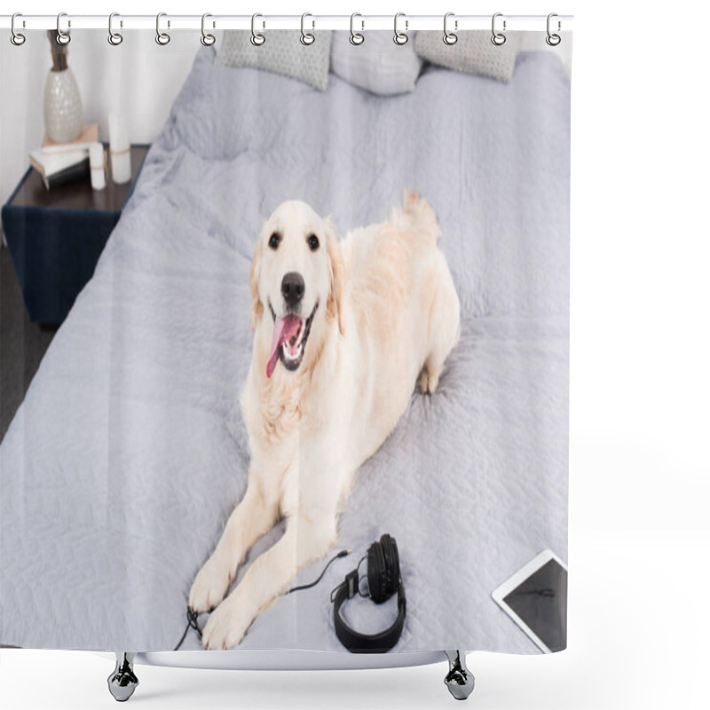 Personality  Dog With Headphones And Digital Tablet Shower Curtains