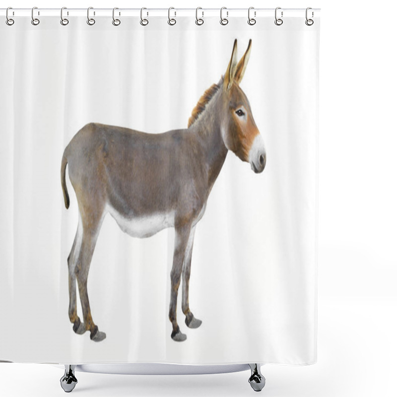 Personality  Donkey  Shower Curtains