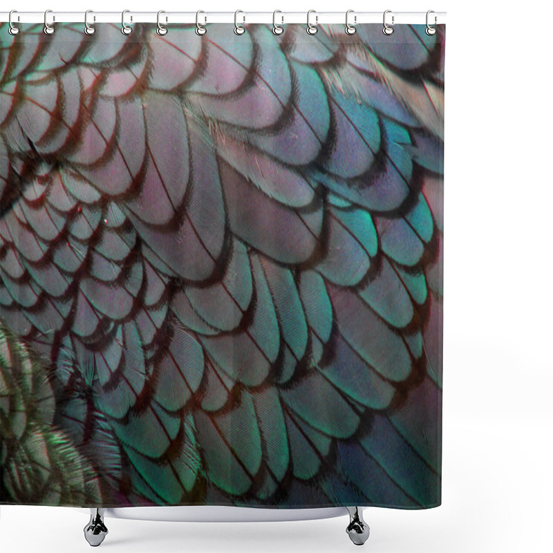 Personality  Bird Feathers Abstract Coloured Exotic Shower Curtains