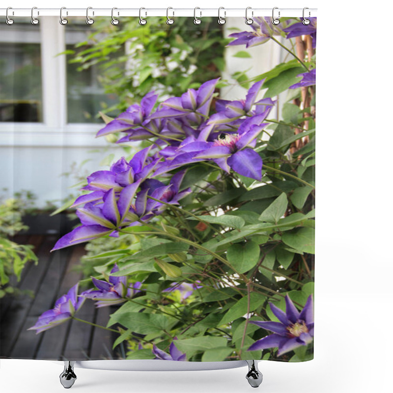 Personality  Beautiful Modern Terrace With A Lot Of Flowers Shower Curtains